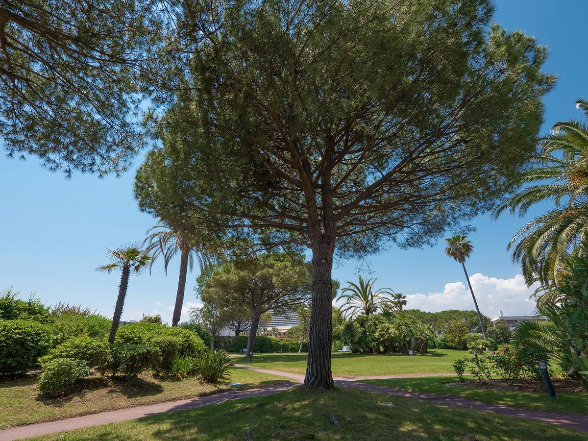 Hotel Bahia Villeneuve-Loubet Exterior foto