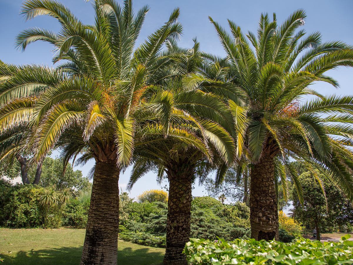 Hotel Bahia Villeneuve-Loubet Exterior foto
