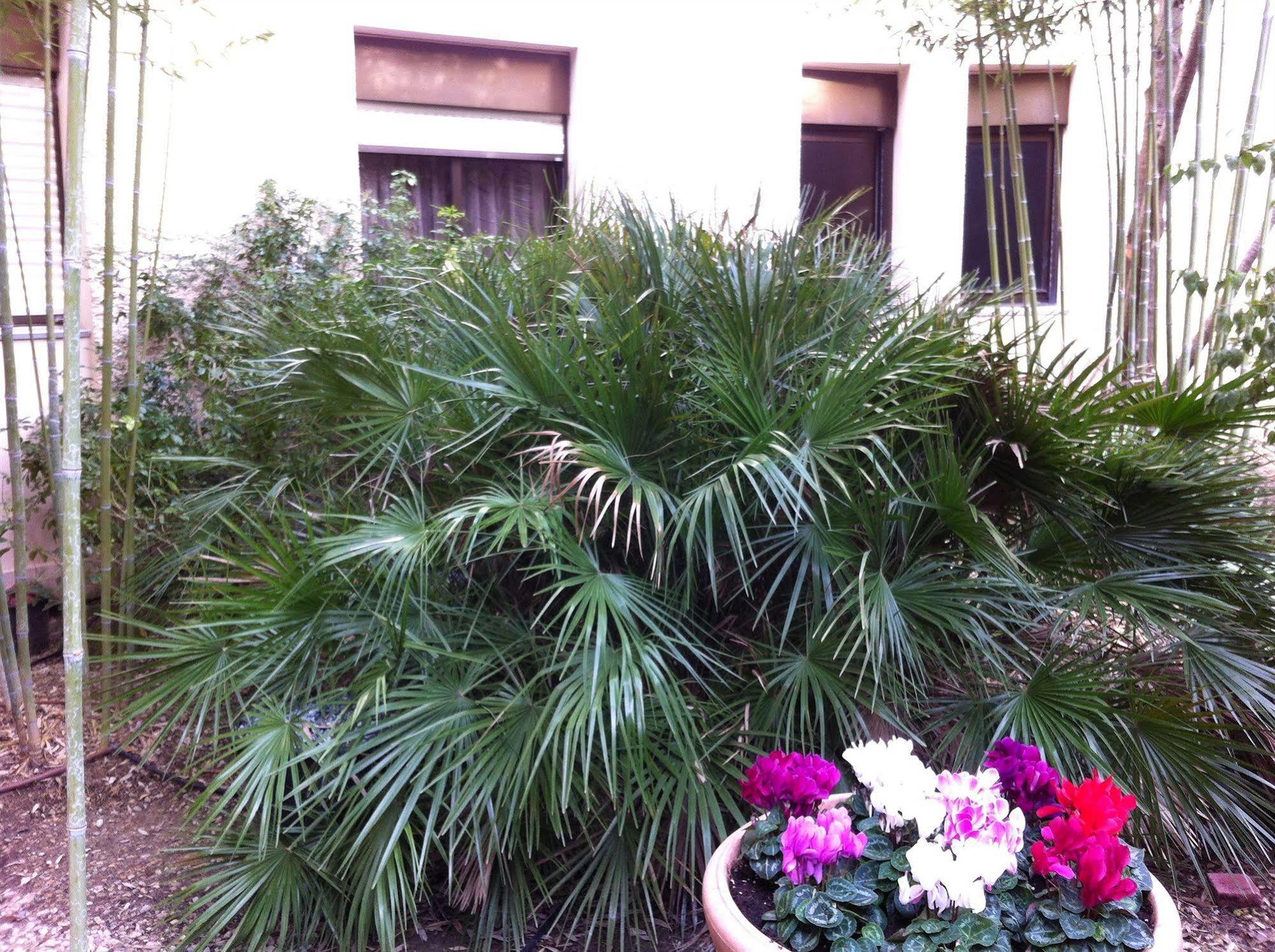 Hotel Bahia Villeneuve-Loubet Exterior foto